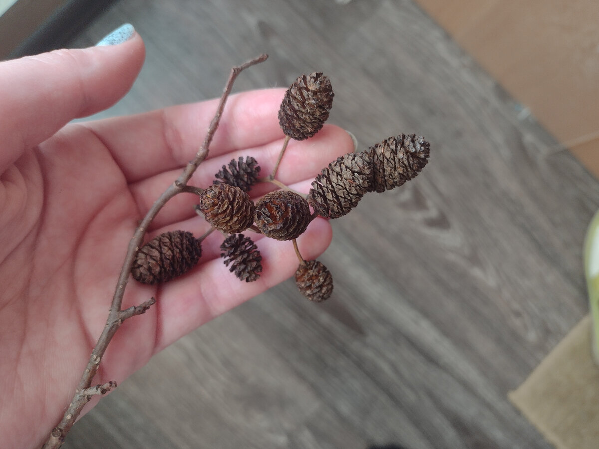 Наша добыча