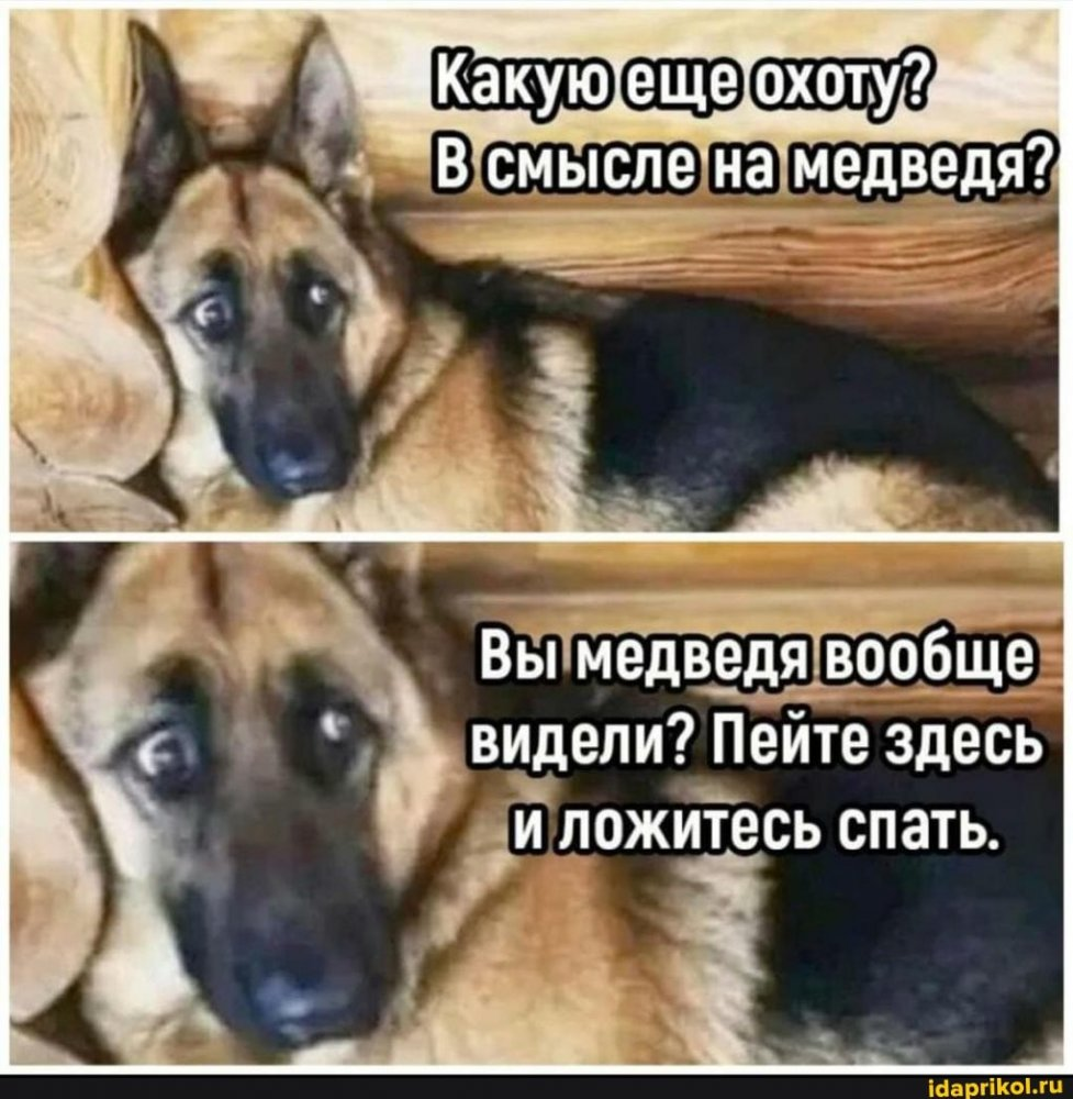 Хоть стой хоть