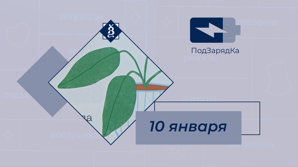 Полная версия картинки ниже