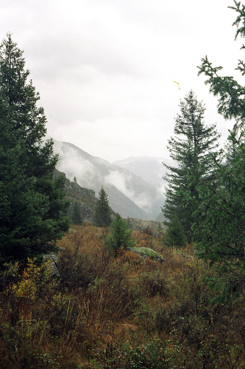 Берег Катуни. Дождь. Октябрь. Фото автора.