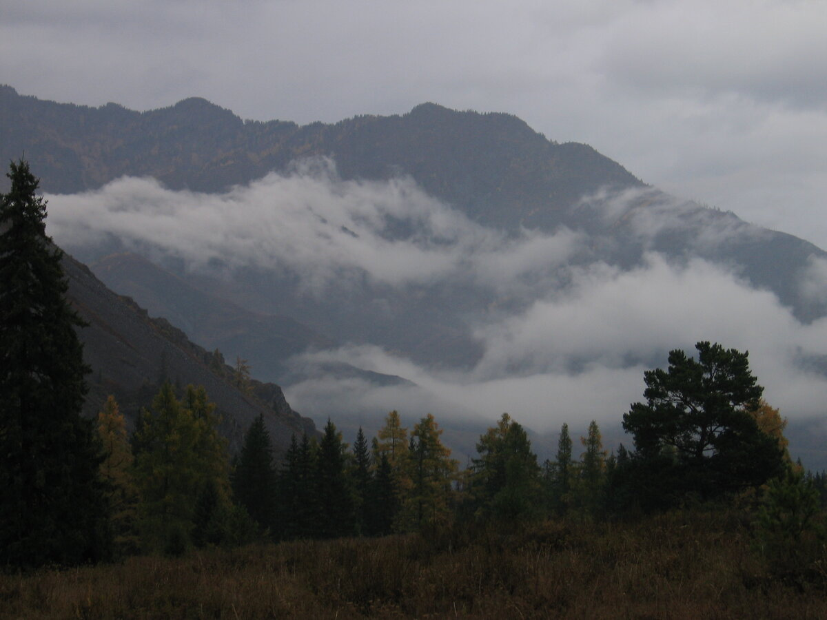 Внизу - Катунь. Сверху - дождь. Фото автора.