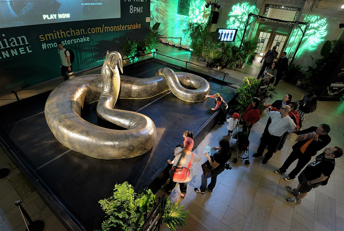 Эта реконструкция позволяет понять, насколько большой была змея и насколько маленький по сравнению с ней был бы человек. 