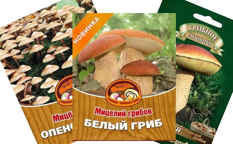 Фото пакетов с мицелиями грибов, скомбинированное фото из интернета