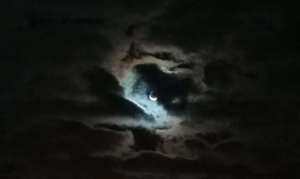 Личный архив