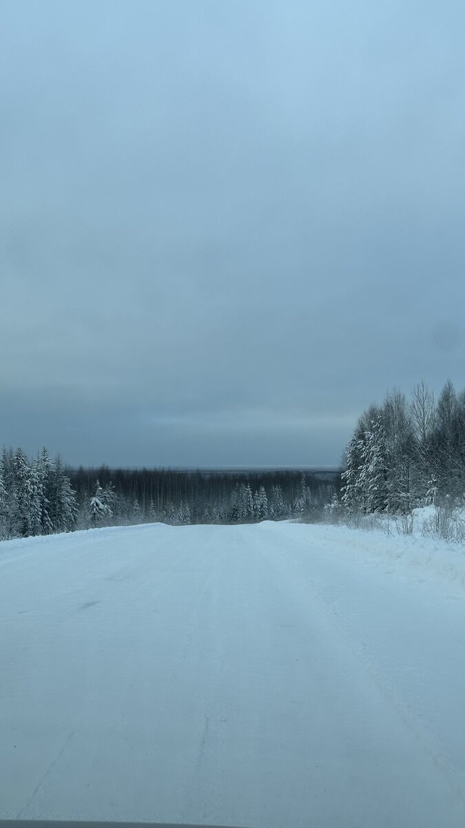 Бескрайние просторы Севера Пермского края. Фото из личного архива.