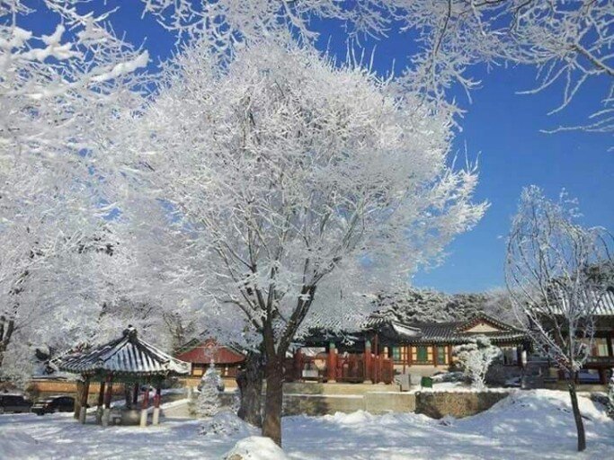 Снег в Корее