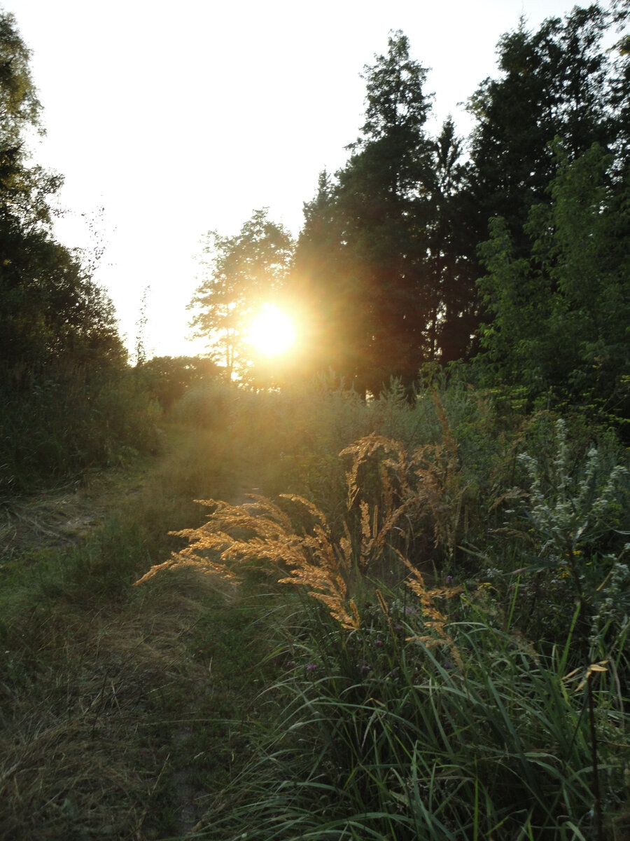 Фото Старого Солдата.  