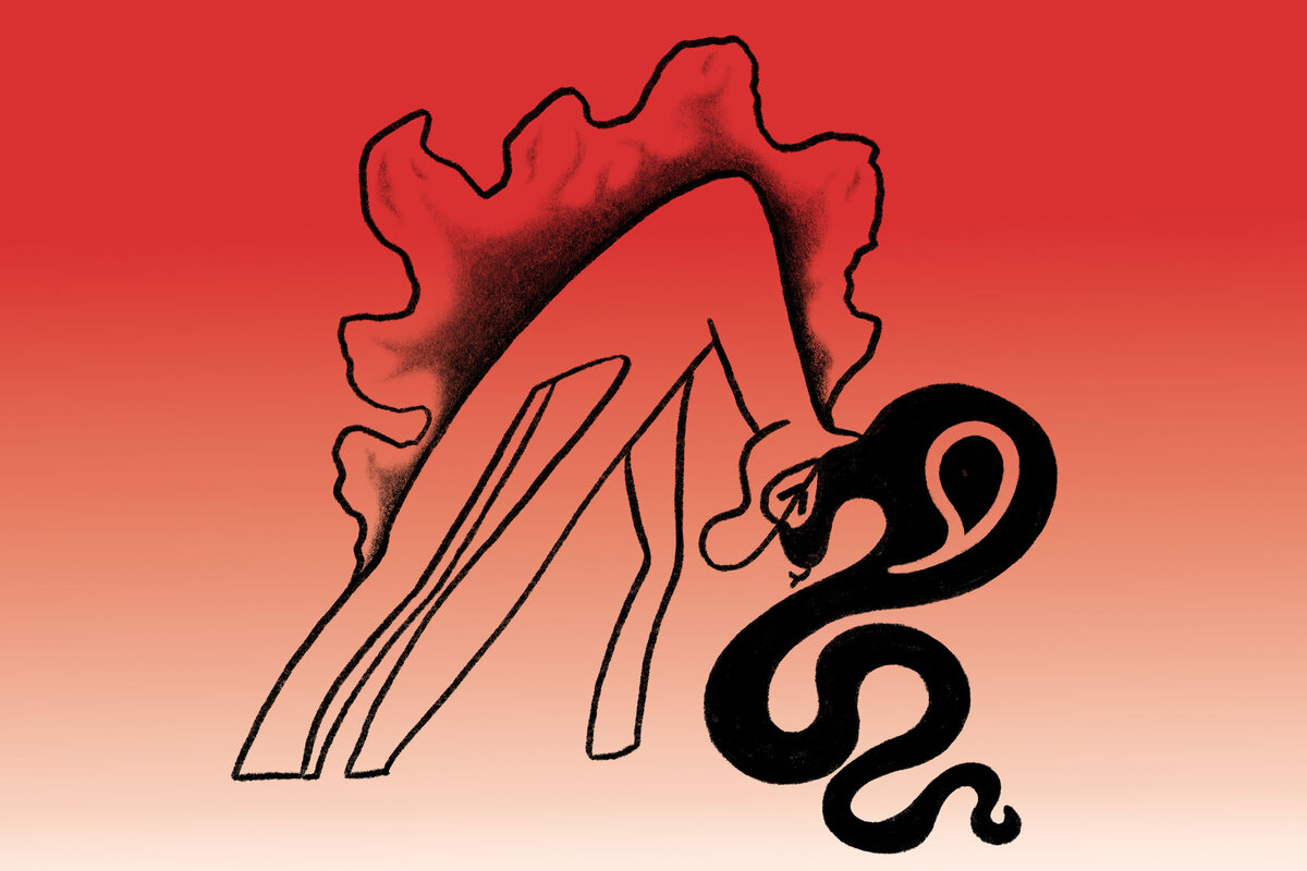       Здесь и далее иллюстрация: Даша Сурма