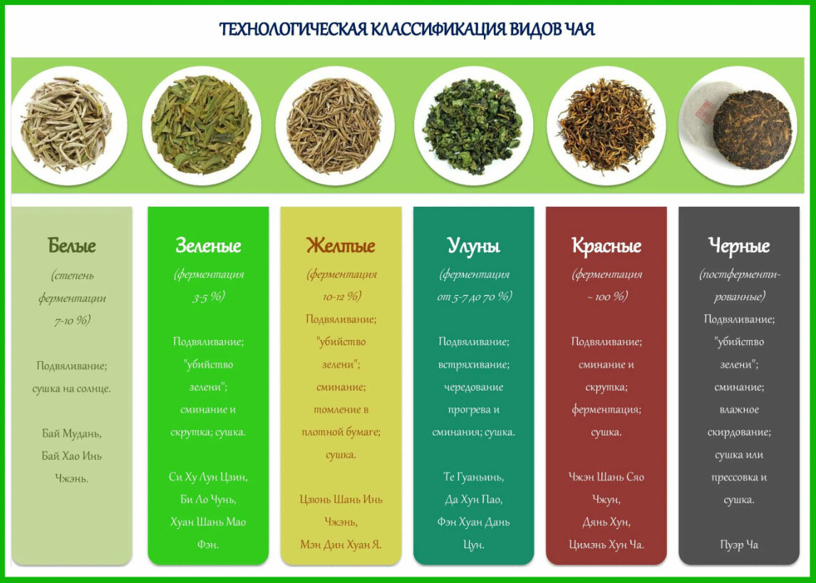 Ознакомьтесь с таблицей. Все чаи, от белого до черного, делаются из одного и того же растения – камелии китайской (другое название – чайный куст), а различаются лишь по степени ферментации листа, способам подвяливания и сушки.
