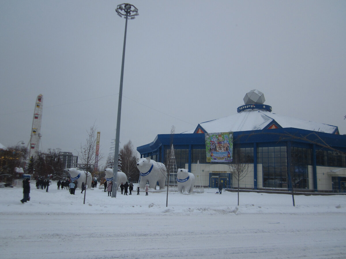 Тюмень, январь 2024 года, моё фото