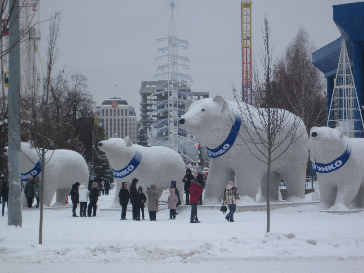 Тюмень, январь 2024 года, моё фото 