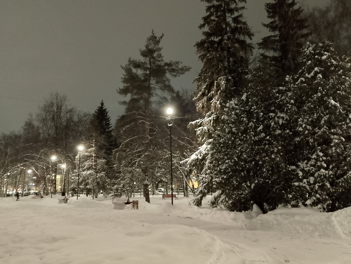 Заснеженный сквер, фото автора