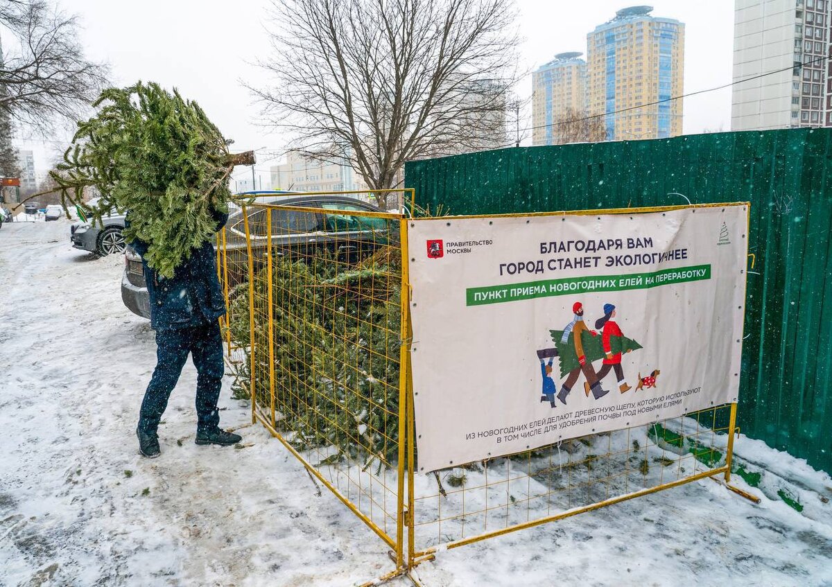 Куда девать фотографии