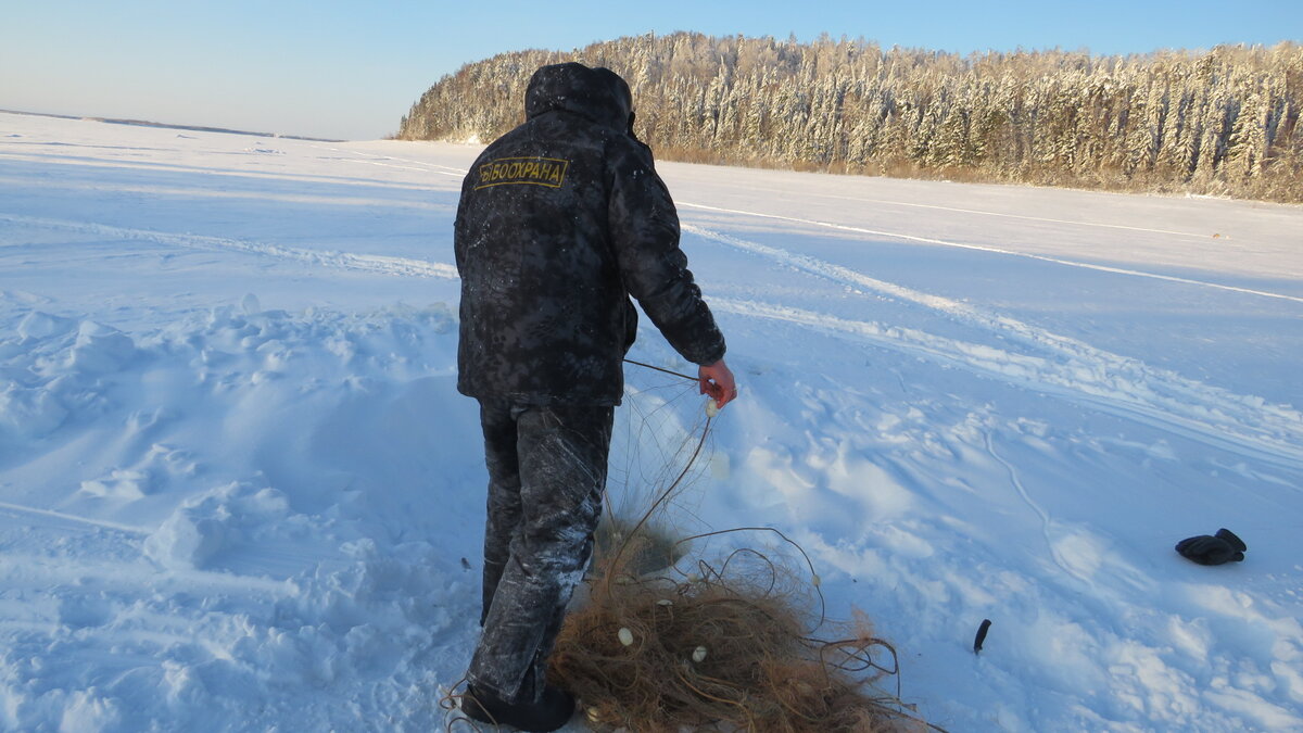    Югорчанам запрещено рыбачить на Оби сетями