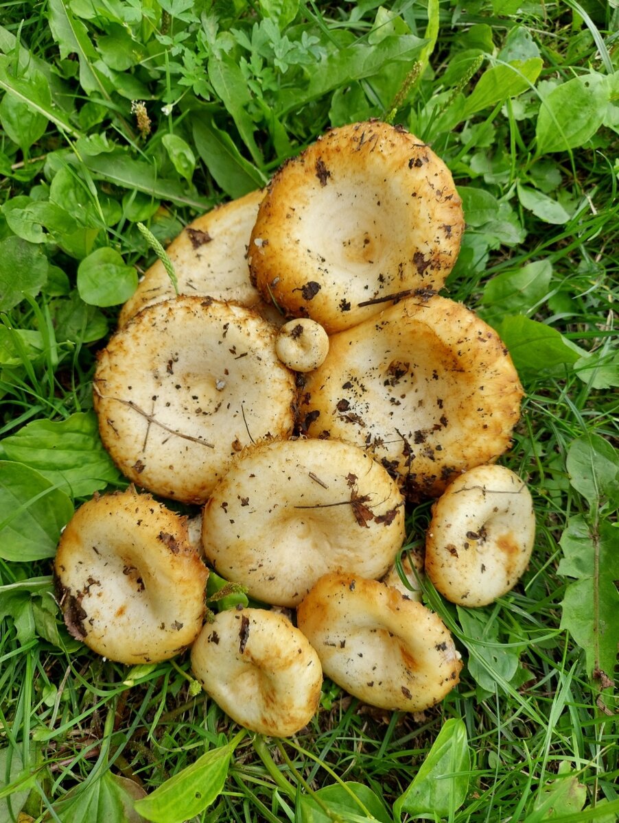 Автор фото Наталья Мазняк