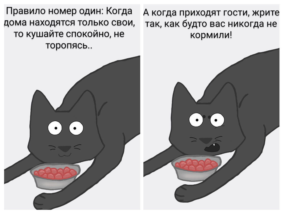 Котокомиксы. | Заметки кота Кузи | Дзен