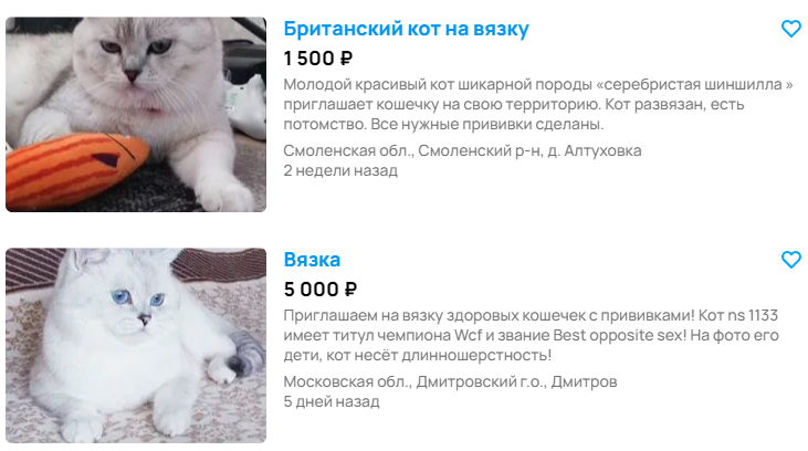 Котенка там