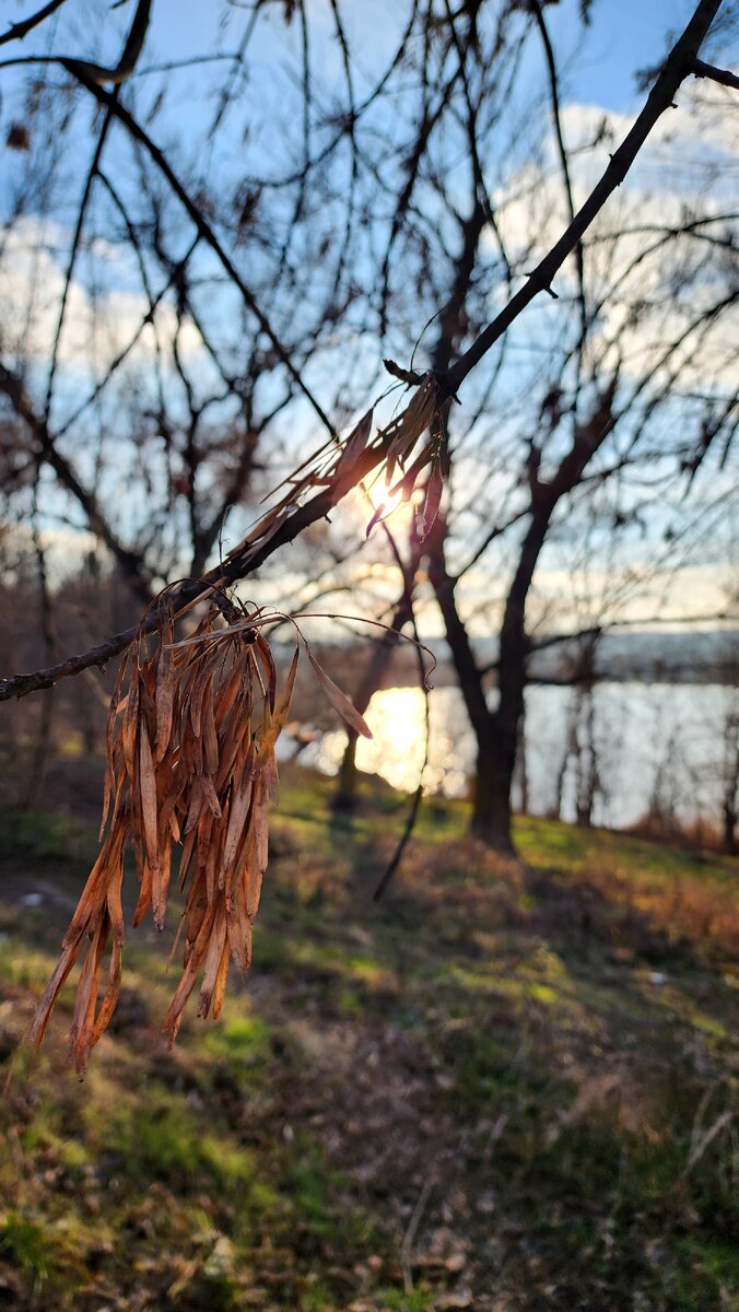 Зимой звезда весной вода