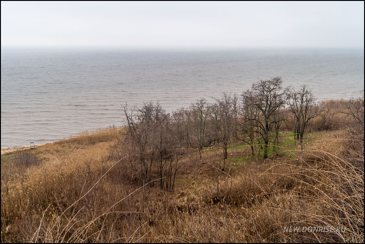 Берег Таганрогского залива. Вид со смотровой площадки парка