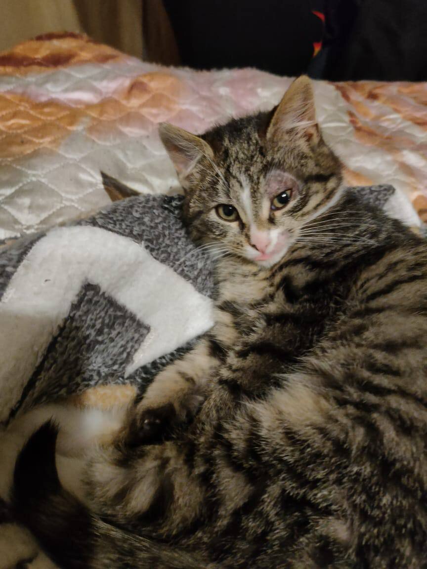 Вот такой красотун 