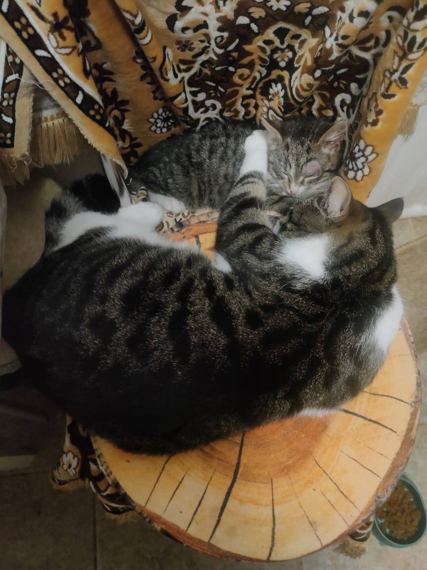 Сразу после того как я ушла 