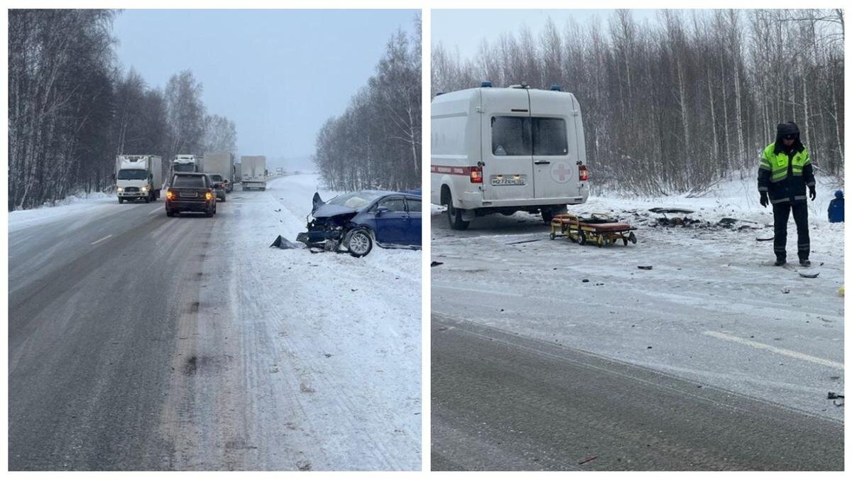 Погода новосибирски обл