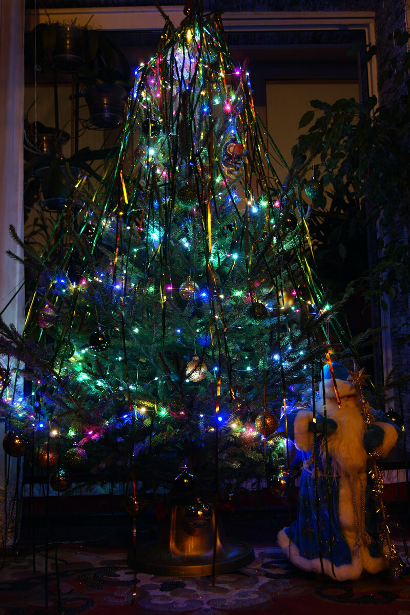 Елка у нас всегда живая. А если празднуем на даче - то наряжаем тую на улице)))