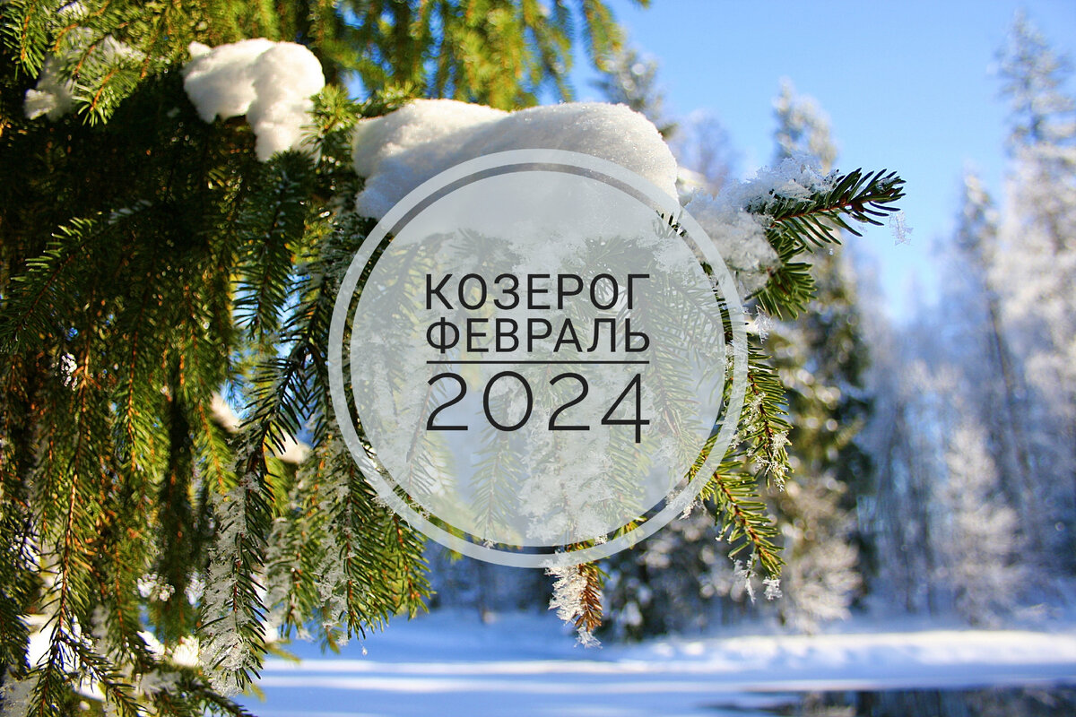 Профминимум февраль 2024