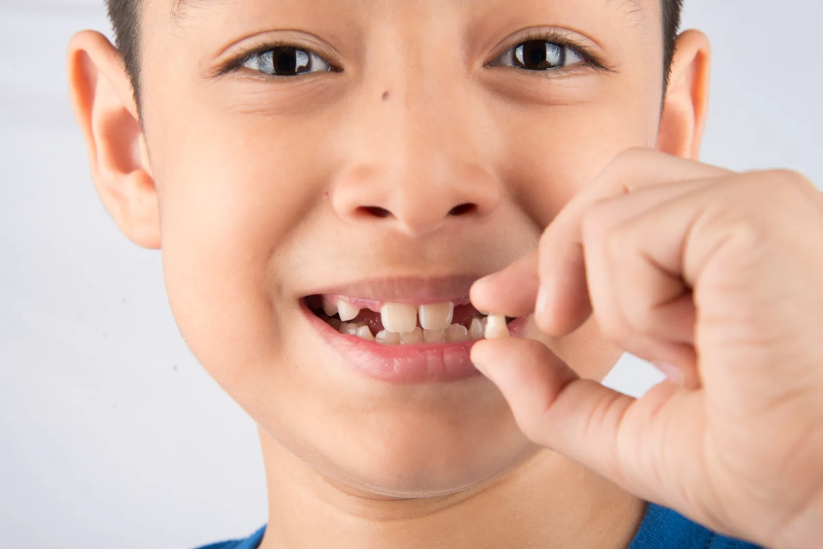 Молочные зубы кт ребенка. Выпадение молочных зубов. Вырастет ли молочный зуб