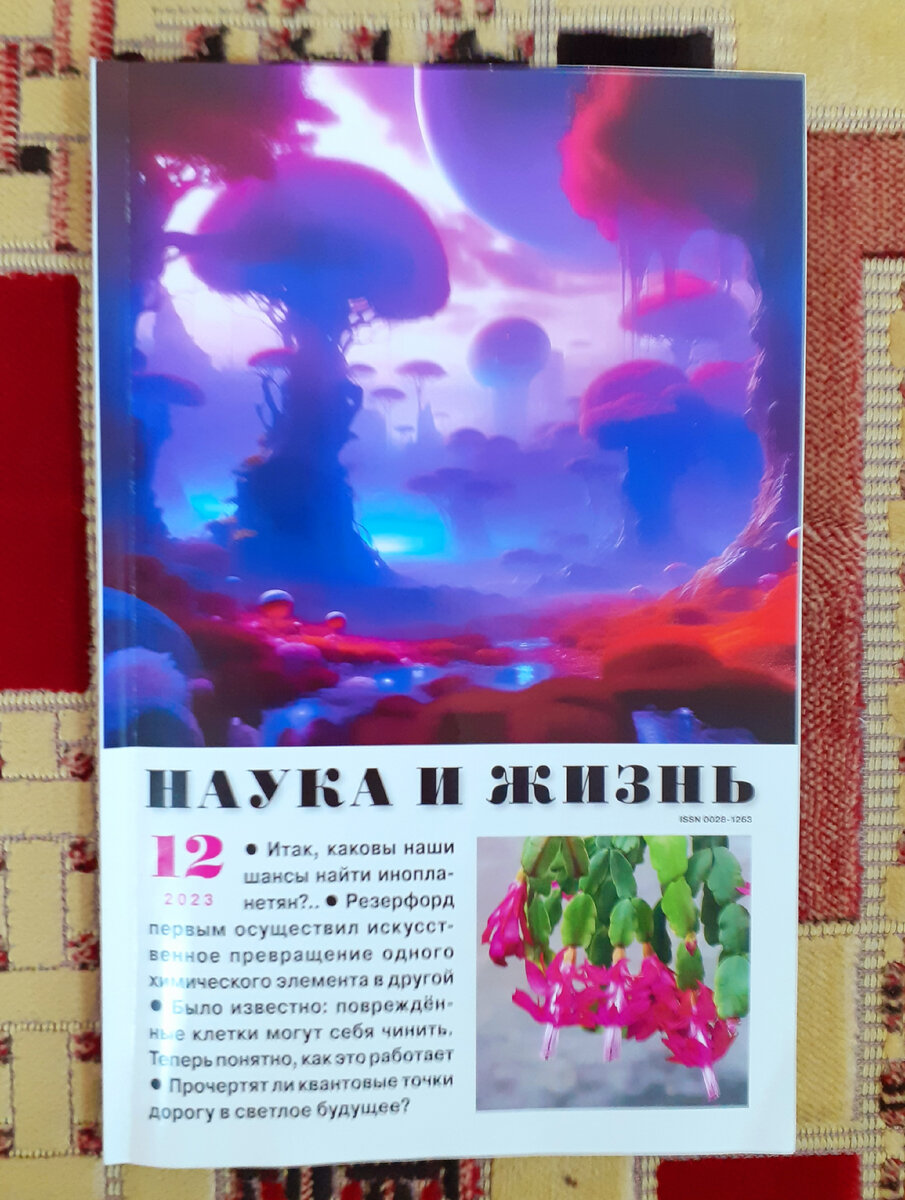 Фотография автора