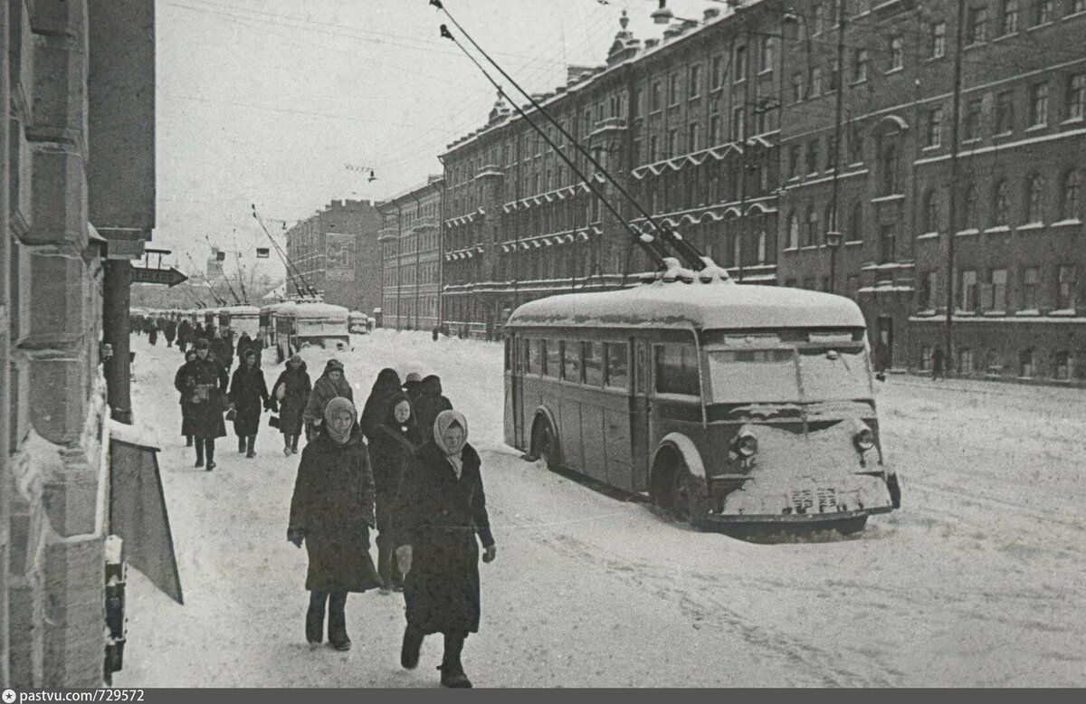 Аномальная погода в Петербурге | Жизнь на окраине Петербурга 🏡 | Дзен