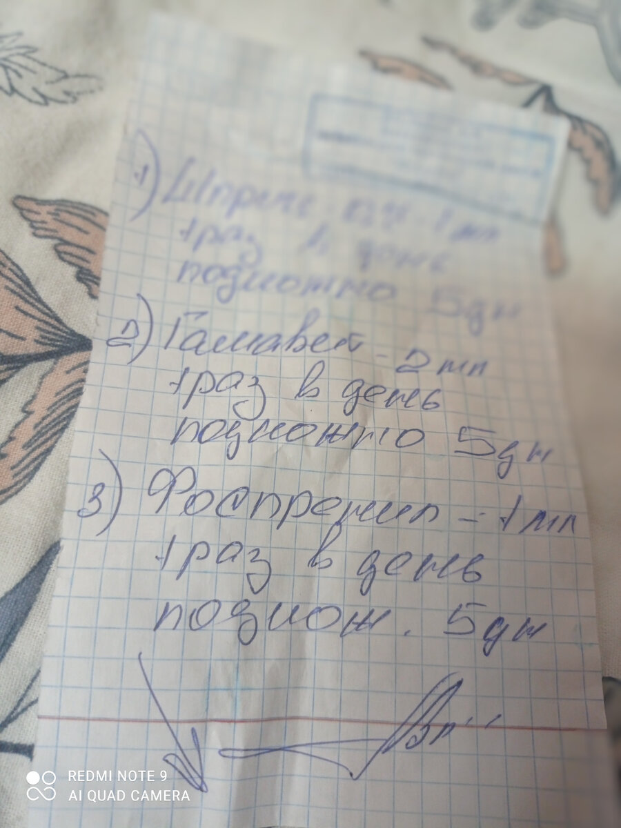 Котовый рецепт