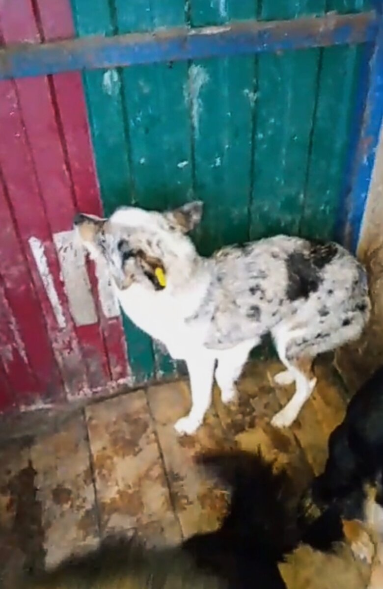 Испугана и растеряна