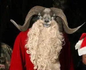  ИГРЫ СМЫСЛОВ СУТИН – Что ж это за существо такое Ёлы Пуки, как называют финны своего Деда Мороза?