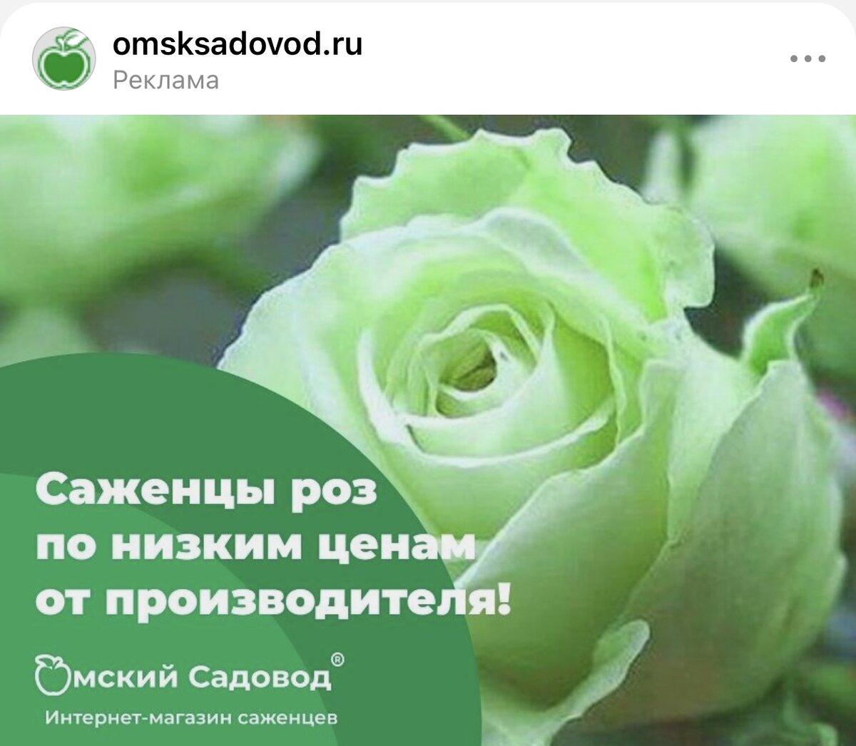 Очко сколько очков каждая