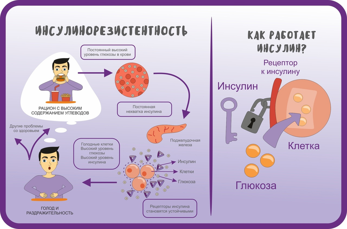 Инсулинорезистентность лечение у женщин после 50 лет. Инсулин и инсулинорезистентность. инсулинорезистивность. симптомы инсулинорезистентности. инсулин и клетка.