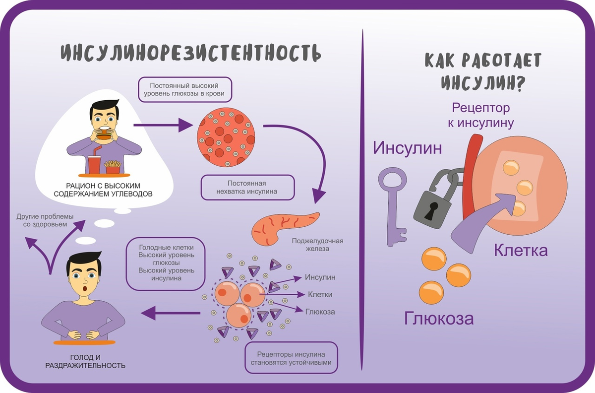 Инсулинорезистентность и лишний вес. Инсулин и инсулинорезистентность. Инсулинорезистивность. Симптомы инсулинорезистентности. Инсулин и клетка.