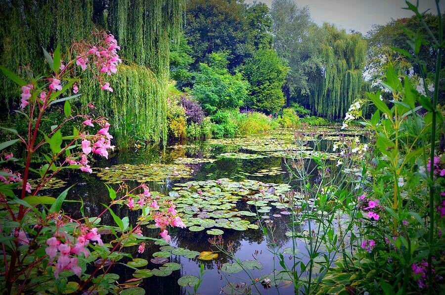 Картинка найдена на просторах интернета, ссылка https://yandex.ru/images/search?from=tabbar&img_url=https%3A%2Fi%2F.pinimg.com%2Foriginals%2Fa8%2F34%2Fа3f%2Fa83р43f81с28709b5e7bd53274cf0591a19.jpg&lr=47&pos=15&rpt=simage&text=%D1%86%D0%B2%D0%B5%D1%82%D1%8B%20%D0%BA%D1%80%D1%83%D0%BF%D0%BD%D0%BE%20%D1%84%D0%BE%D1%82%D0%BE