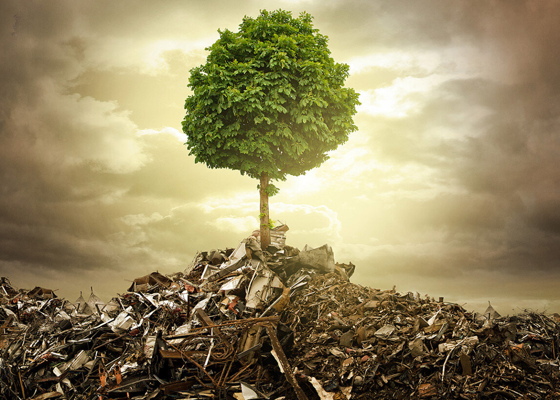 Все чаще жители мегаполисов сталкиваются с экотревожность, невольно отмечая как сильно изменилось все вокруг: вместо живописных мест - свалки мусора, промзоны и пр.