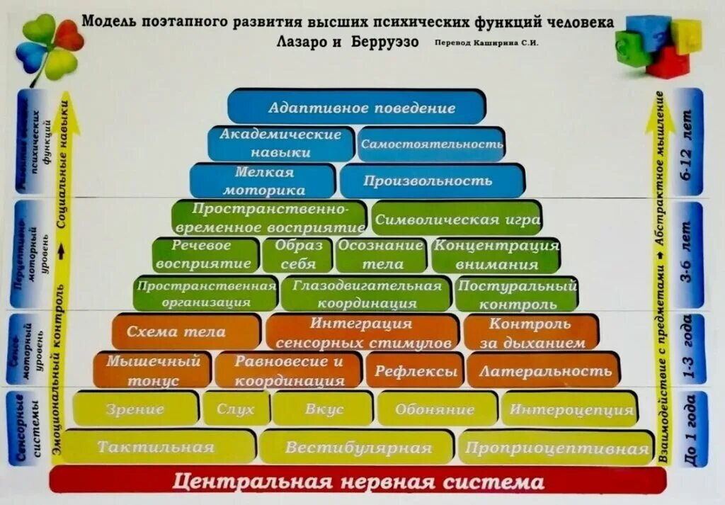 Иллюстрация из открытых источников Яндекс 