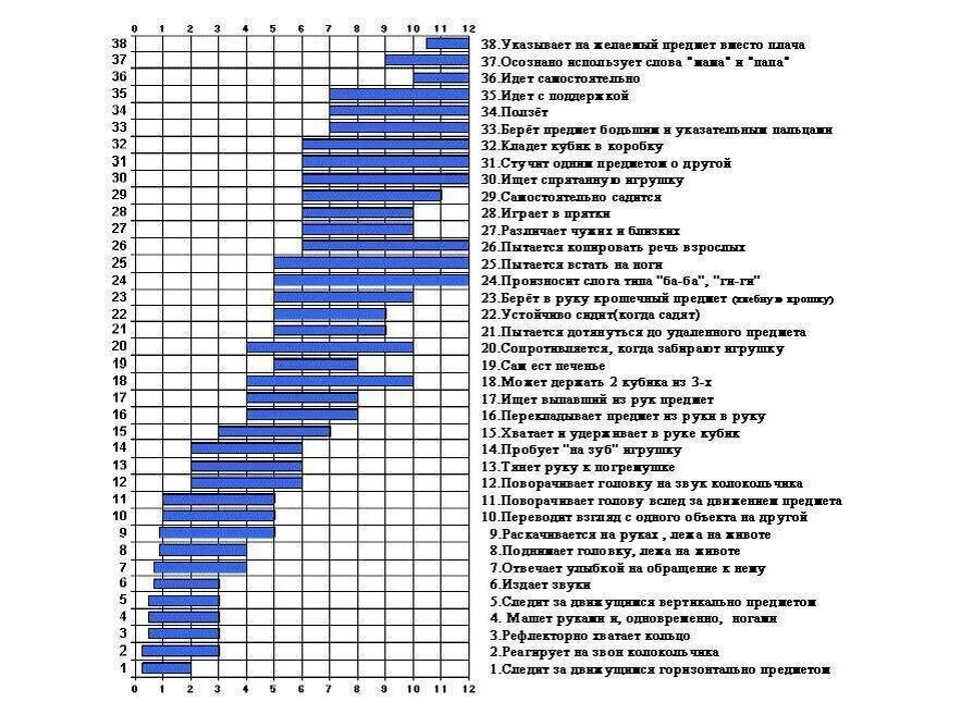 Временны́е окна возникновения навыков в норме. Иллюстрация из открытых источников Яндекс 