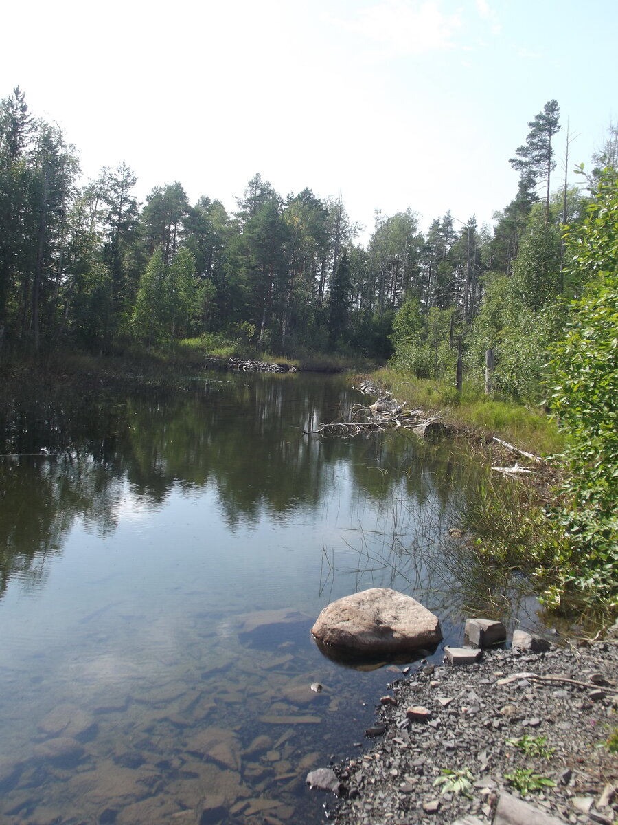 Озеро водоем суши