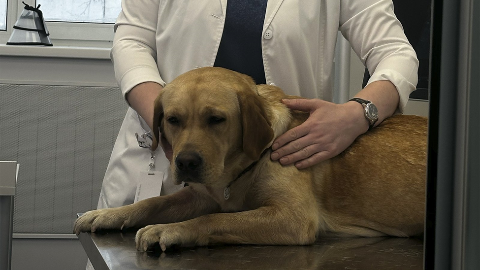 Ли клиник. Клиника ли томск. Ли клиник. Ли клиник. Клиника ли чун тэк в корее ортопедия.