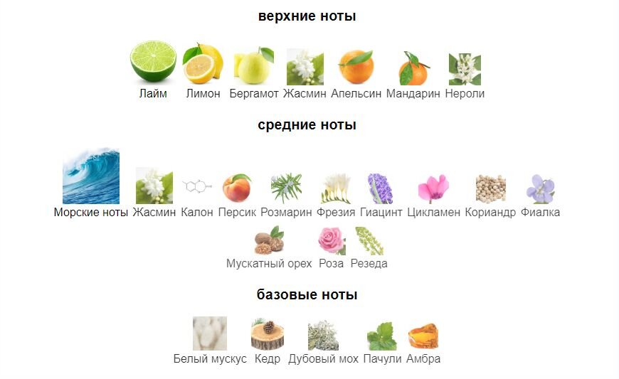 fragrantica.ru