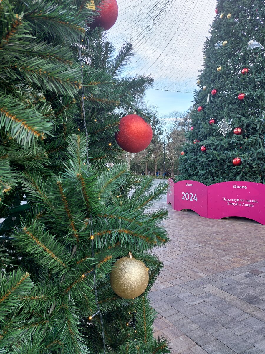 Фото автора новогодняя елка Анапы