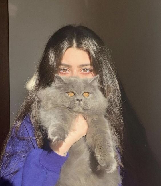 Девочка с британцем