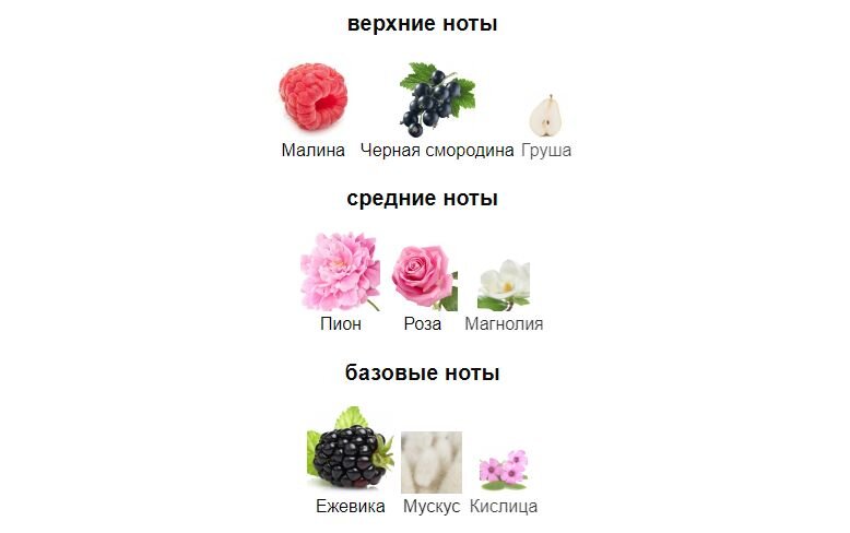 fragrantica.ru