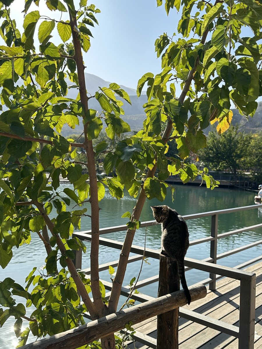 Обязательно покатайтесь на катере с ветерком на Чирюртском водохранилище! 