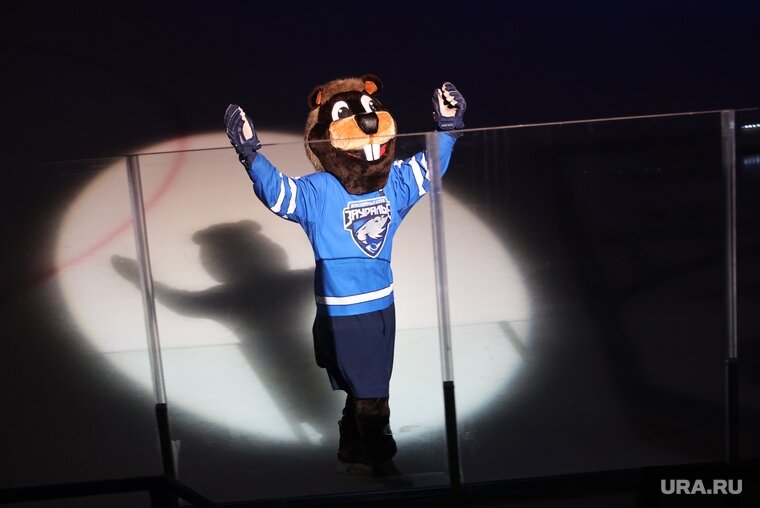    ХК «Зауралье» занимает первое место в турнирной таблице