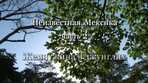 Неизвестная Мексика - Жемчужина в джунглях (часть 2)